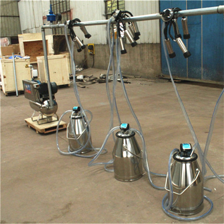 Farming System & Sustainable Agriculture - Máquina de Ordenha, Sistema Fixo com
