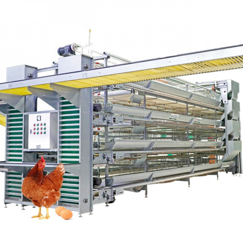 Farming System & Sustainable Agriculture - Sistema automático de equipamentos para galinhas