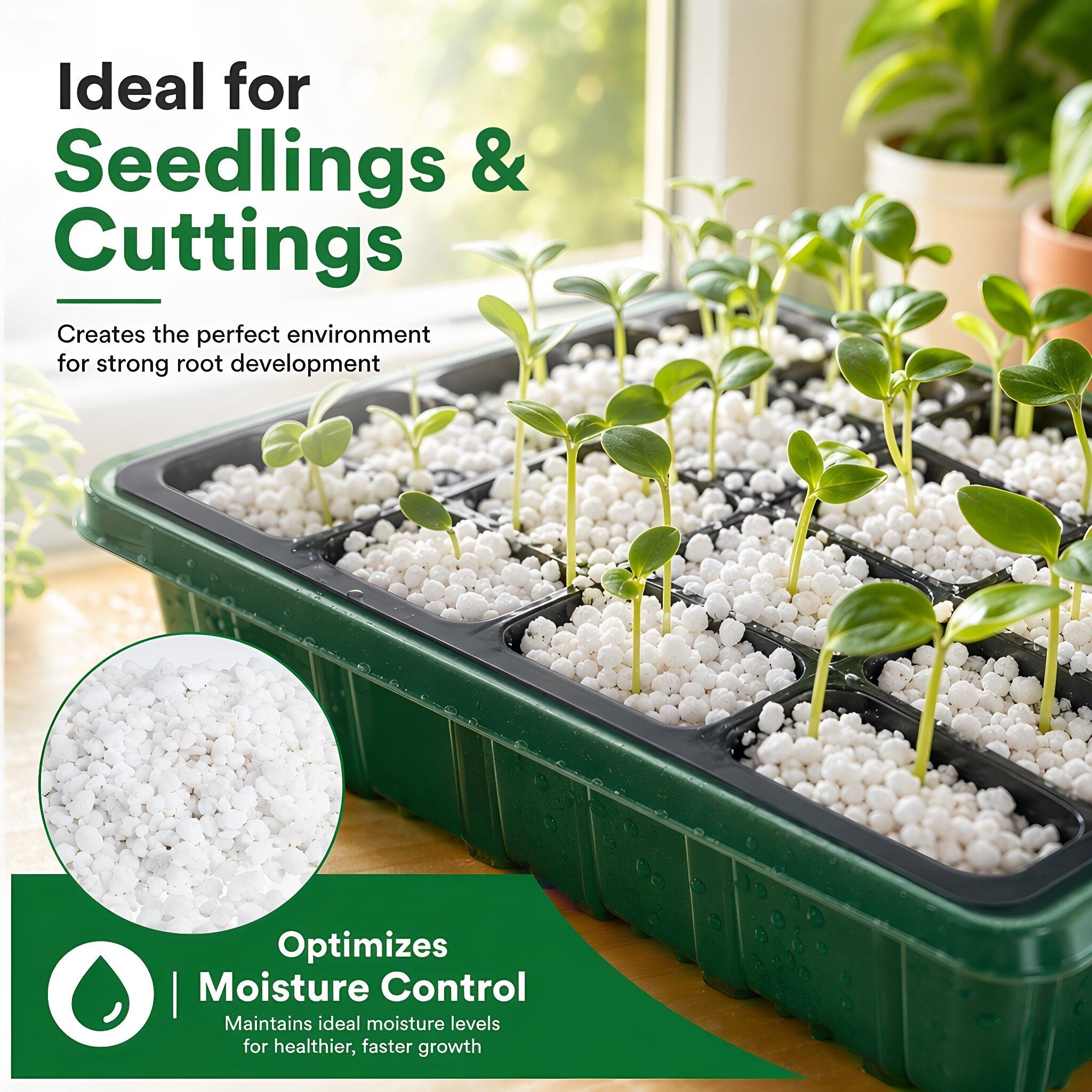 Perlite Hortícola para Plantas - Horticulture Soil Perlite avaliação e preço