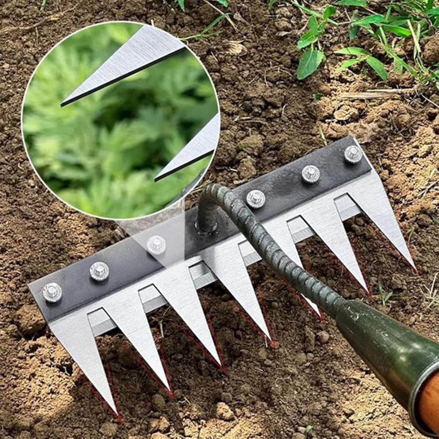 5/6/7/8 dentes ancinho de meta - Agriculture Farming Hand Tools avaliação e preço