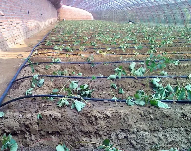 Kit de Irrigação 1HA Ferrament - Agriculture Farming Hand Tools avaliação e preço