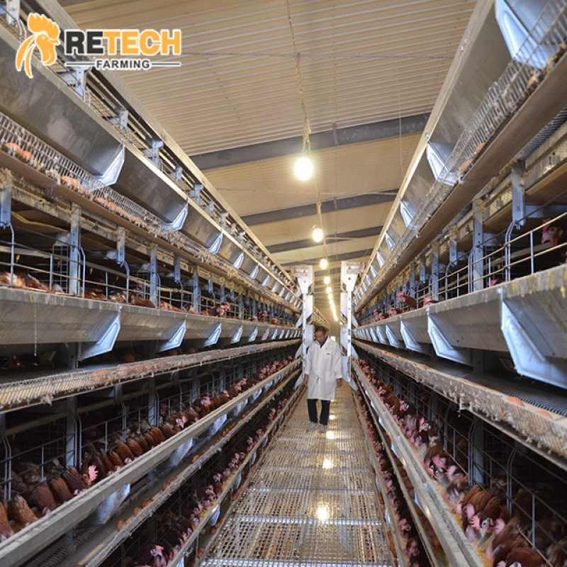 Sistema automático de equipame - Farming System & Sustainable Agriculture avaliação e preço