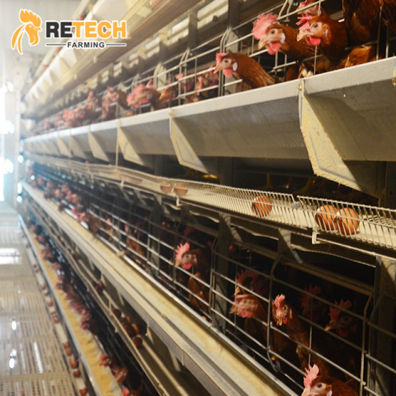 Sistema automático de equipame - Farming System & Sustainable Agriculture avaliação e preço